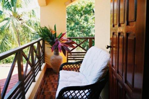 Noah De Coco Hotel Pousada 帕拉库鲁 外观 照片